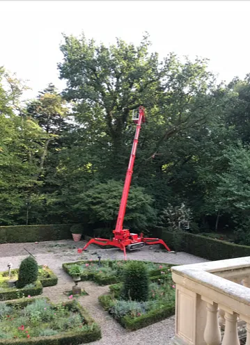 Schredder zum Schreddern von Ästen im Einsatz